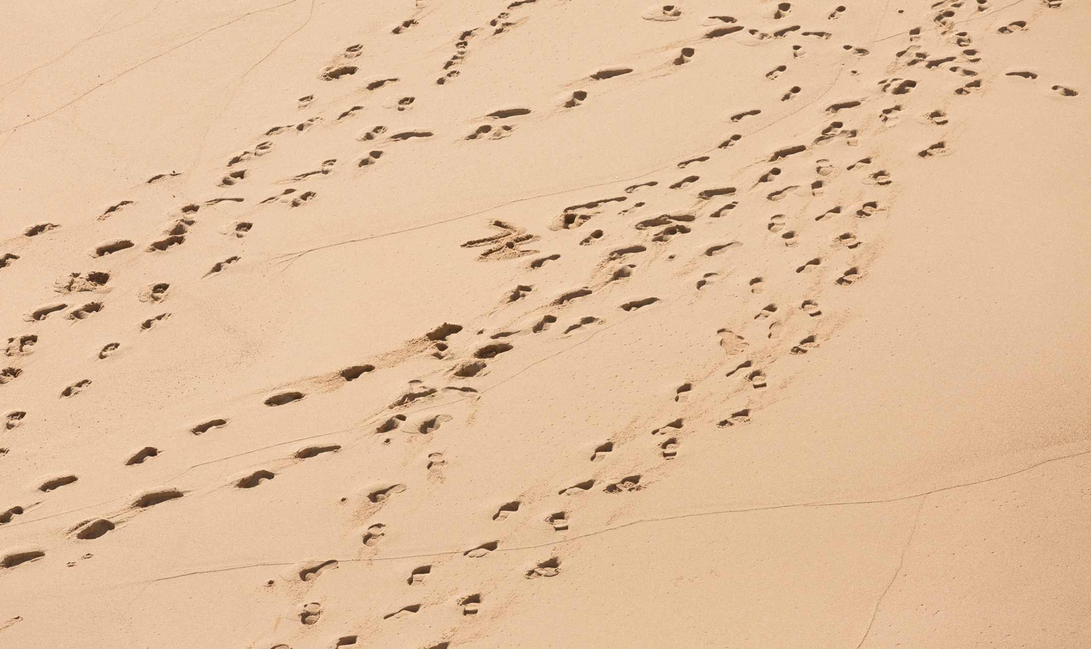 Tracking Footprints